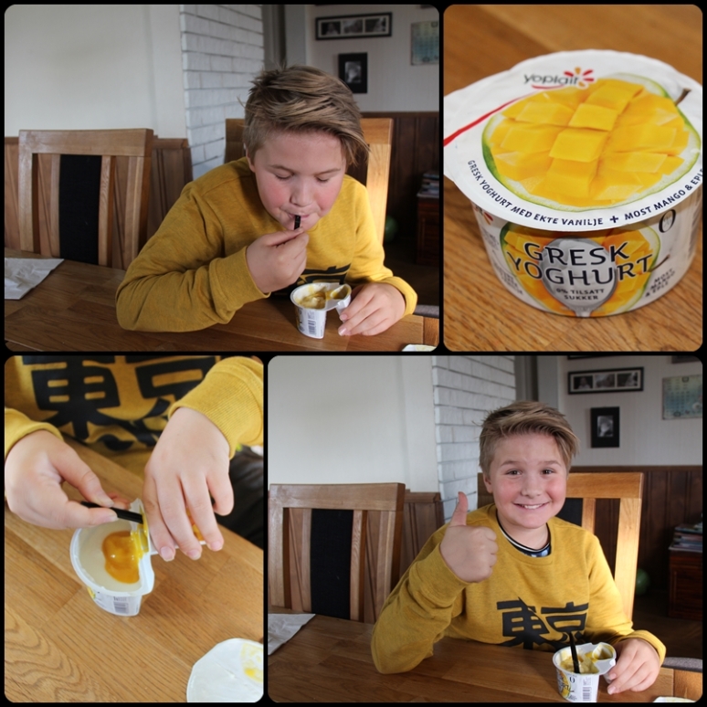 remi yoghurt mango